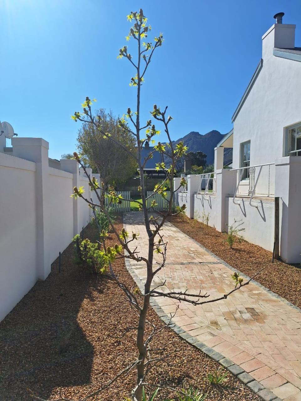 Largest One Bed Apartment & Private Pool In The Hoek Franschhoek Exterior foto